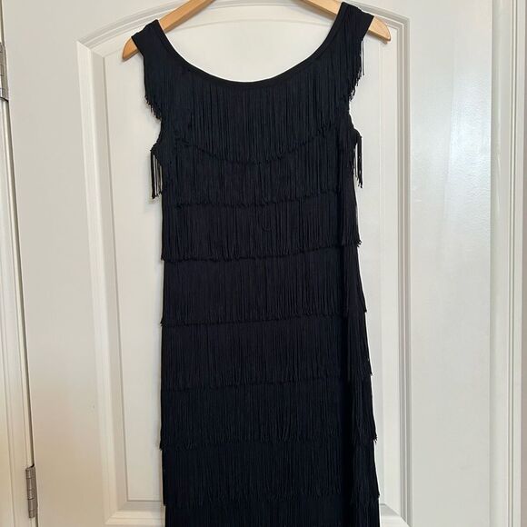 EUC White House Black Market Flapper Dress(size XXS) - Picture 7 of 7